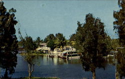 Picturesque Torry Island Scenic, FL Postcard Postcard