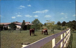 One Of Many Small Estates In Brandon Florida Postcard Postcard