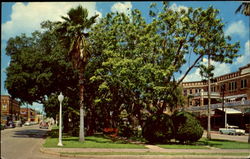 The Mall Looking West Avon Park, FL Postcard Postcard