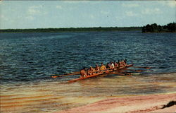 Sculling Little Lake Harris, FL Postcard Postcard