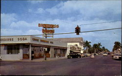 Homestead Florida Postcard Postcard