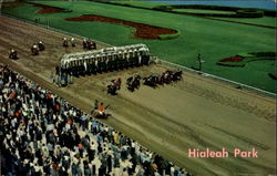 Hialeah Race Track, Hialeah Park Florida Postcard Postcard