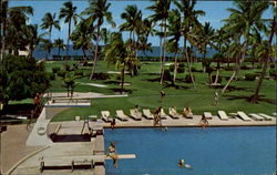 Key Biscayne Hotel And Villas Postcard