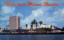 Hello From Miami Beach Postcard