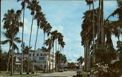 Everglades City Florida Postcard Postcard