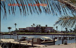 Marina Flamingo Florida Postcard Postcard