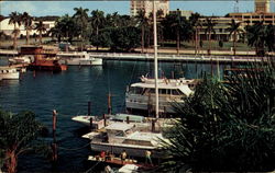 Memorial Pier Yacht Basin Bradenton, FL Postcard Postcard