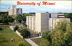 University Of Miami Florida Postcard Postcard