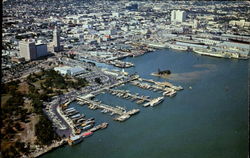 Airview Of Miami Postcard