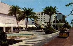 Lincoln Road Mall Miami Beach, FL Postcard Postcard