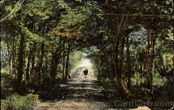 Wooded Drive Fishers Island New York