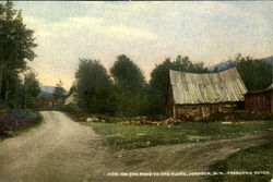 On The Road To The Flume, Johnson, Franconia Notch Postcard