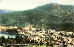 Woodstock Lumber Co. Postcard