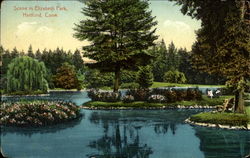 Scene In Elizabeth Park Postcard