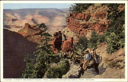 A Party On Bright Angel Trail, Grand Canyon National Park Postcard