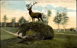 Elks Rest, Hollenback Cemetery Postcard