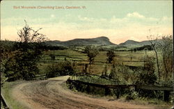 Bird Mountain Castleton, VT Postcard Postcard