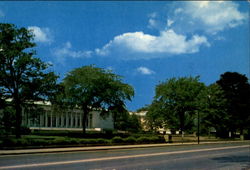 The Toledo Museum Of Art Postcard