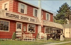 Wileswood Country Store Huron, OH Postcard Postcard