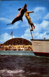 Stock #124913 Thumbnail