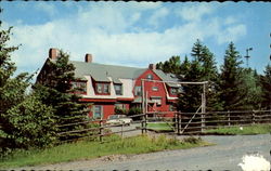 Roosevelt Summer Home Postcard