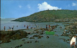 Hermit Island Small Point, ME Postcard Postcard