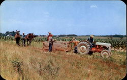 Harvesting Tobacco In Virginia Postcard