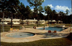 Ellwyn Motel, U. S. 301 Petersburg, VA Postcard Postcard