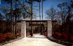 Entrance To The Beautiful Azalea Gardens Postcard