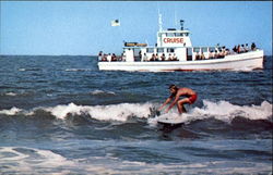 Virginia Beach Postcard Postcard