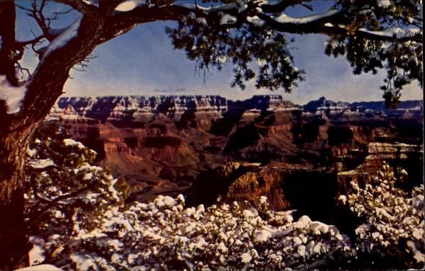 Grand Canyon National Park Arizona