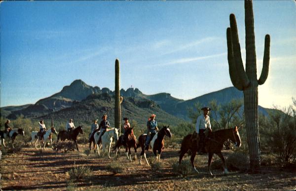 Riders On The Arizona Desert Horses