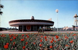 South Of The Border, U. S. Highways 301 - 501 Postcard