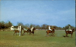 Polo Action Camden, SC Postcard Postcard