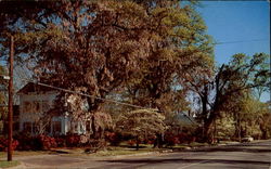 Street Scene Postcard