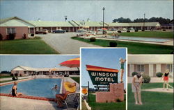 Windsor Motel And Dining Room, U. S. 301 and 15 Postcard