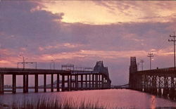 Twin Giants Of The Cooper River Postcard