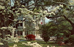 Ashley Hall Postcard