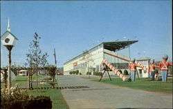 Fair Grounds Danbury, CT Postcard Postcard