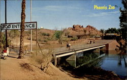 Phoenix Zoo, Papago Park Postcard