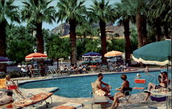 Famous Heart Shaped Pool At Royal Palms Inn Postcard