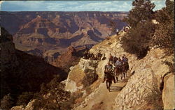 Grand Canyon Grand Canyon National Park, AZ Postcard Postcard