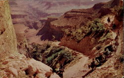By Mule Train Into The Grand Canyon, Grand Canyon National Park Postcard
