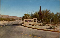 Saguaro National Monument Postcard