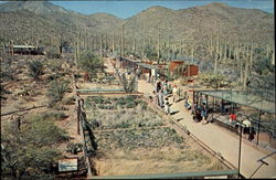 Watershed Exposition, Arizona -Sonora Desert Museum Postcard