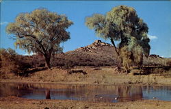 Tuzigoot National Monument Clarkdale, AZ Postcard Postcard