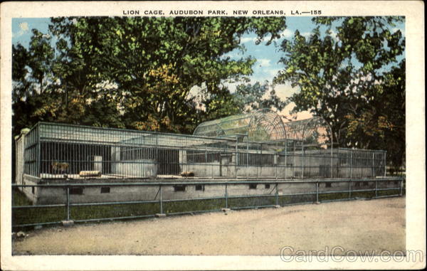 Lion Cage, Audubon Park New Orleans Louisiana