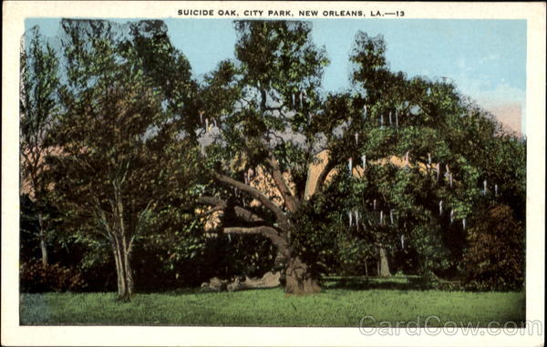 Suicide Oak, City Park New Orleans Louisiana
