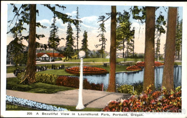 A Beautiful View In Laurelhurst Park Portland Oregon