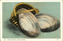 Cape Cod Fruit Postcard